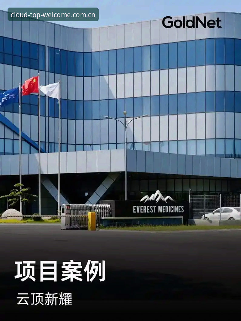 云顶集团最新入口必备：从实战角度全面解析官网访问、下载安装与客服支持的完整方案